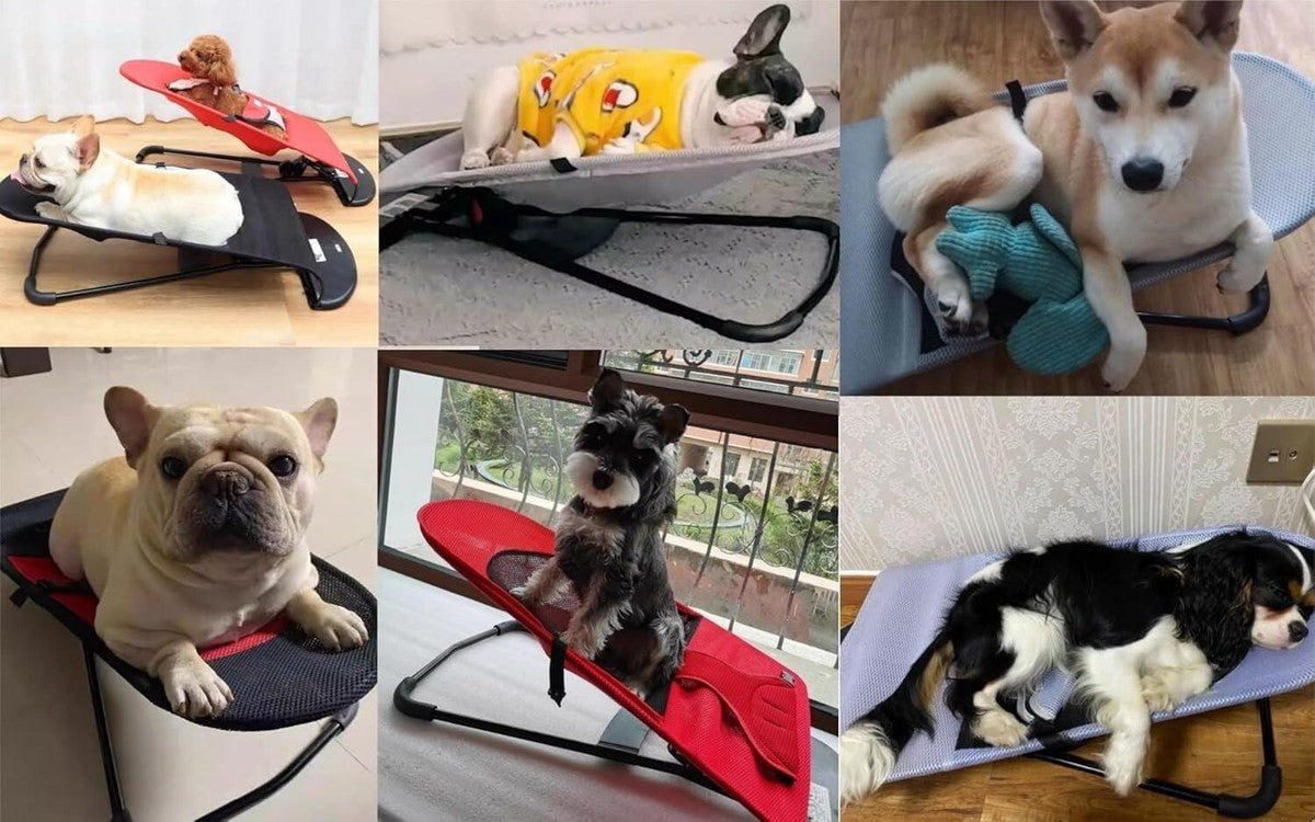 Arnés Comodo Tipo Chaleco Para Perros
